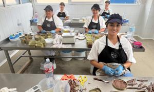 Sobadoras de La Machina separando los filetes de anchoa