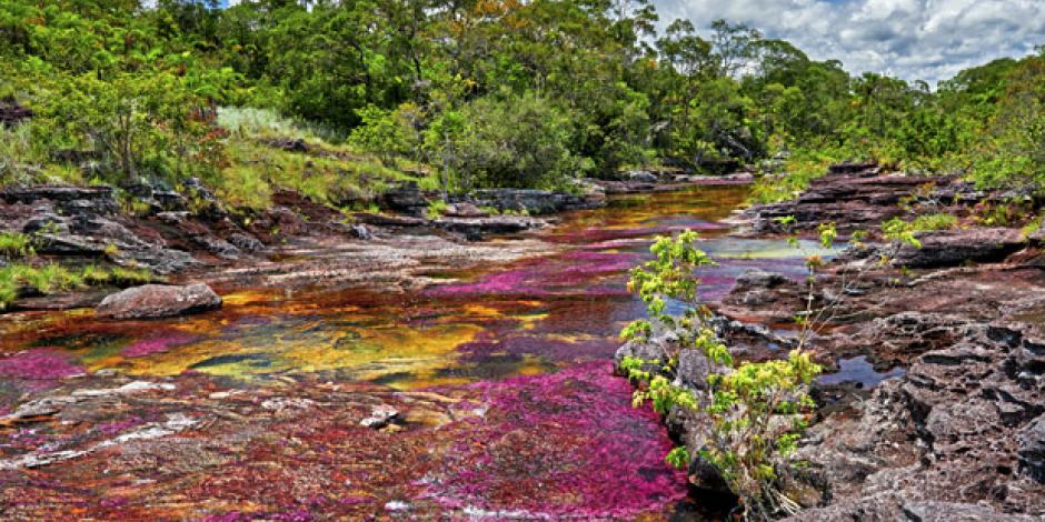 Der Regenbogenfluss: Caño Cristales (Kolumbien)