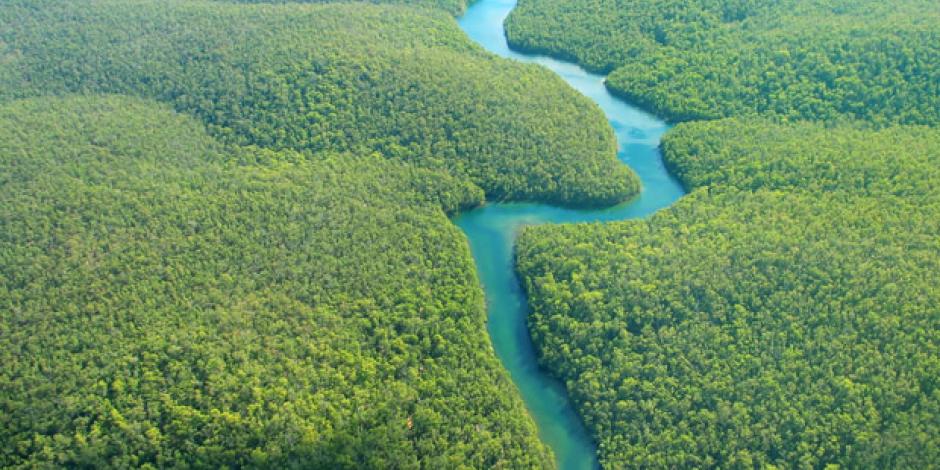 Amazonien: Das Leben in Perus Dschungel