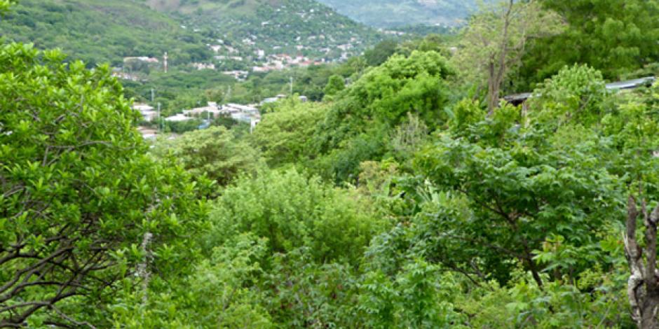 Alemania musical en Nicaragua