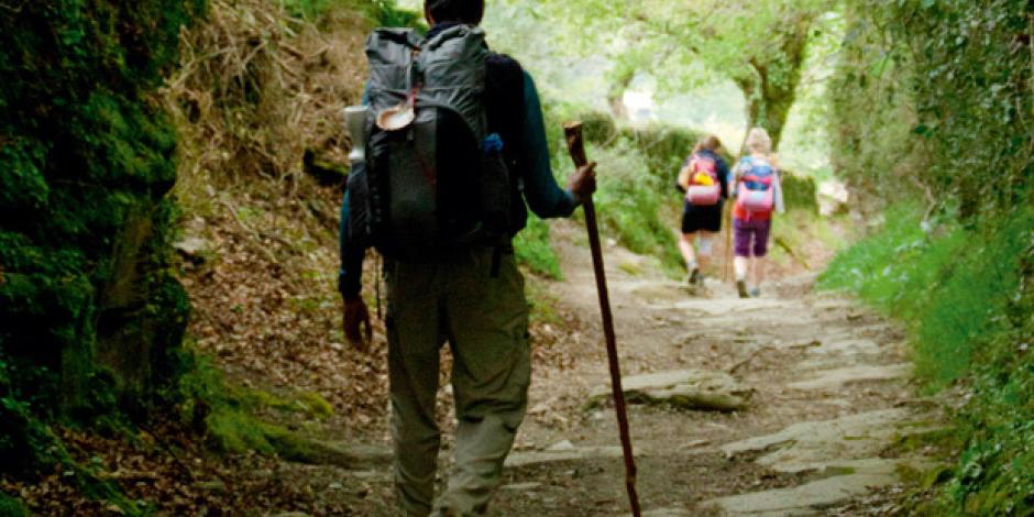 Jakobsweb: Wandern in Zeiten des Abstands