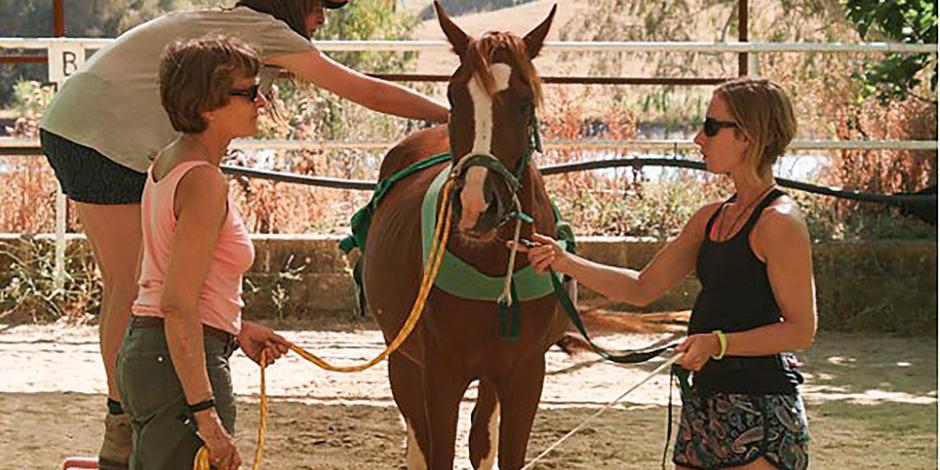 Pferdezucht in Andalusien