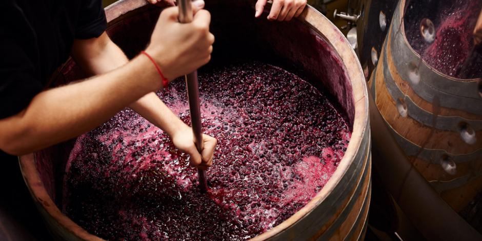 Spanien ist das Land mit der größten Weinanbaufläche der Welt