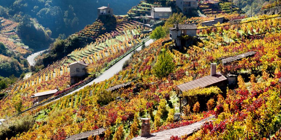 Ribeira Sacra