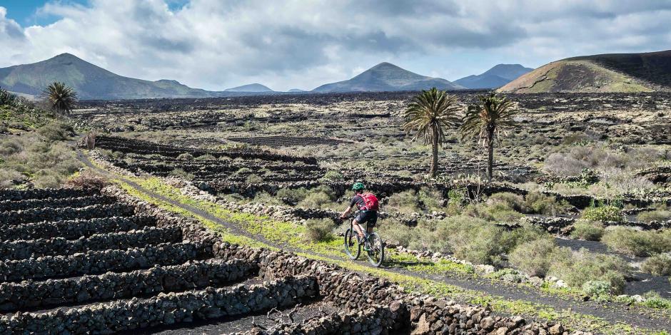 Vides volcánicas en Lanzarote
