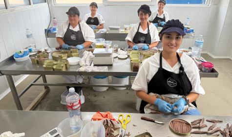 Sobadoras de La Machina separando los filetes de anchoa