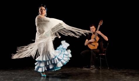 flamenco 